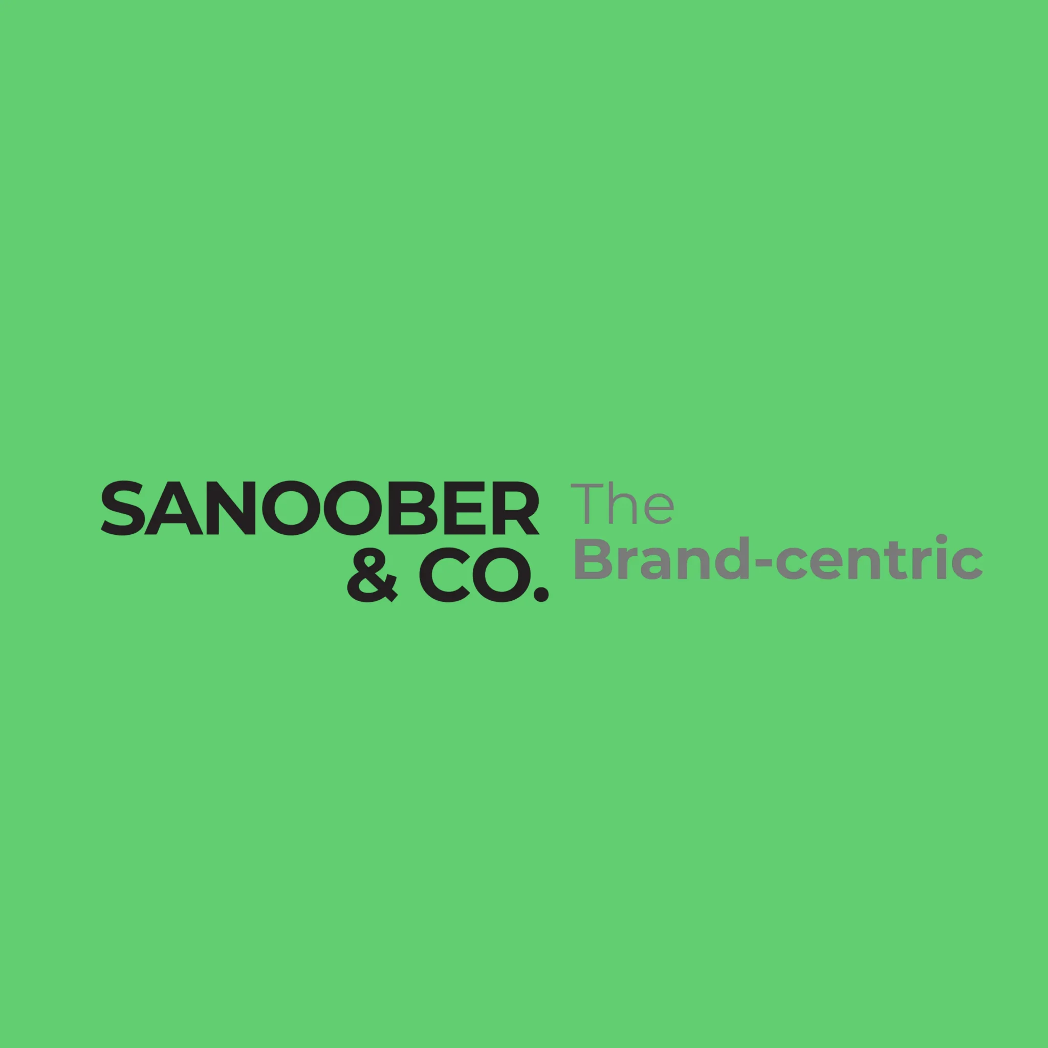 DIGITAL MARKETING EXPERT IN KOCHI - SANOOBER & CO.